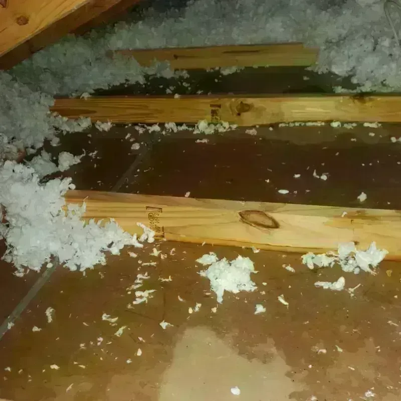 Attic Water Damage in Mason, TN